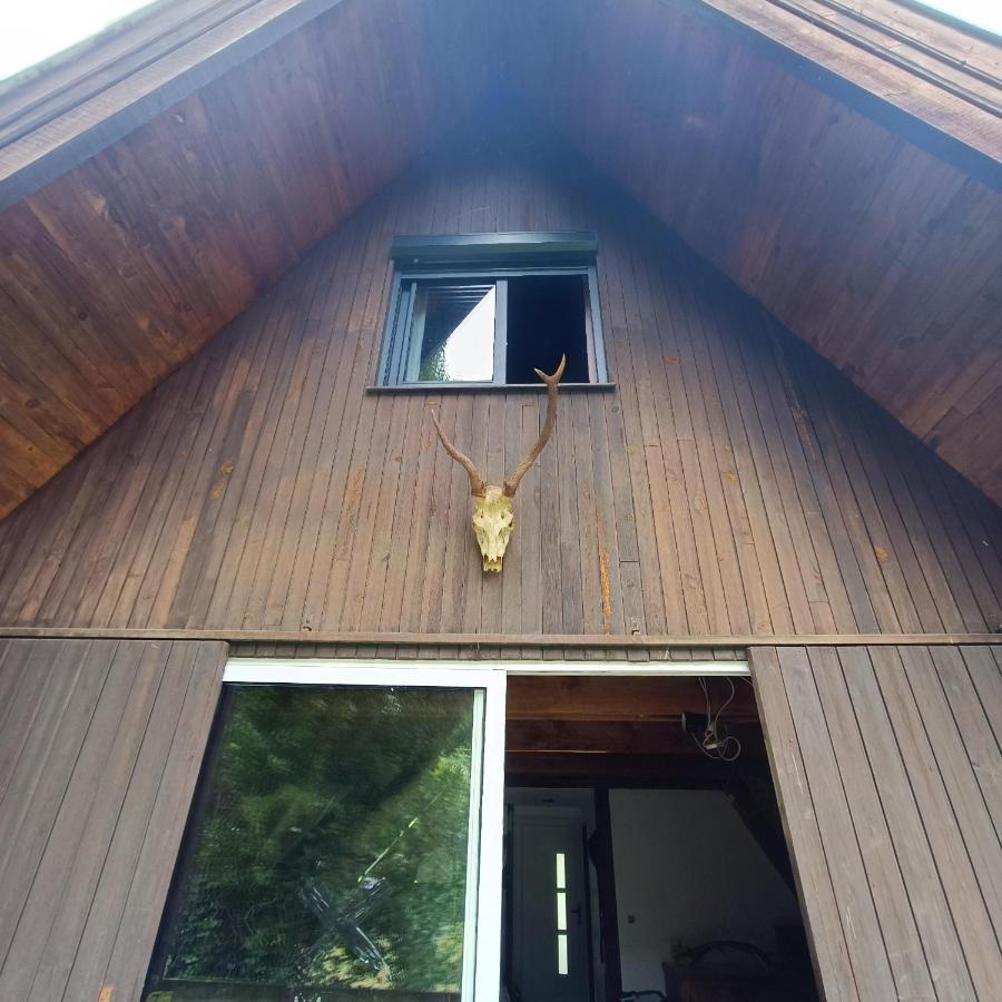 Chalet- Vallee De Luchon - Vallee De La Pique Cierp Exteriér fotografie